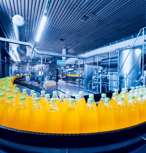 Food Processing