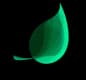 Animated Leaf